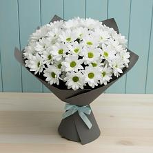 Букет цветов из:  Хризантемы в Бесленеевской