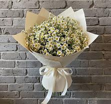 Букет цветов из:  Ромашки в Бесленеевской