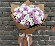 Букет цветов из:  Хризантемы в Бесленеевской