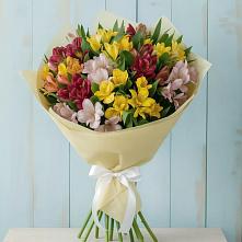 Букет цветов из:  Альстромерии в Бесленеевской