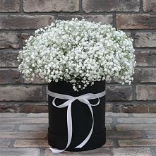 Цветочная композиция из Гипсофила в шляпной коробке в Бесленеевской