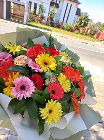 Букет цветов из: Герберы в Бесленеевской