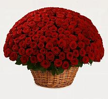 Премиум букет из: Розы в Бесленеевской