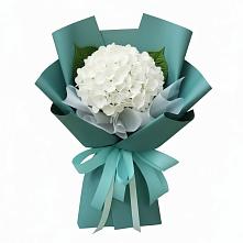 Букет цветов из:  Гортензия #REPLACE_PRED# Бесленеевской